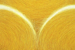 Sunny rhythm Oljemaleri (90x120 cm) kr 14500 ur