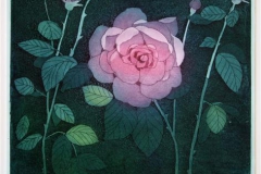 En rose Etsning 25x25 cm 1150 ur