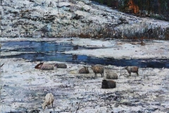 Sheep. On The Way To Hommersåk Oljemaleri (70x60 cm) kr 12000 ur