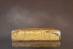 Bibel 36 Oljemaleri (40x50 cm) kr 21000 mr