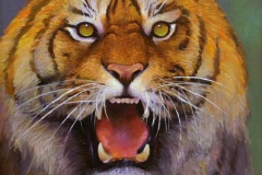 Tiger-blikk Oljemaleri (46x38 cm) kr 4000 mr