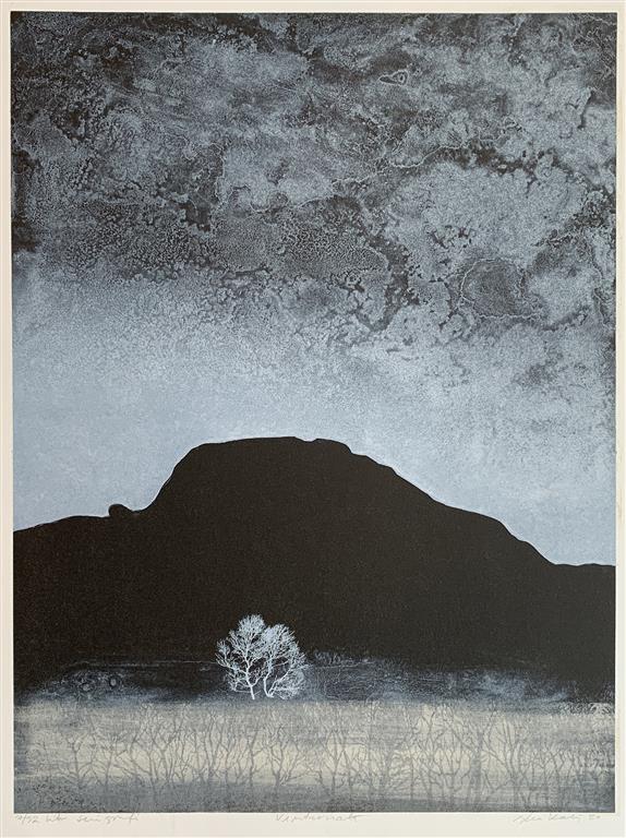 Vinternatt Litografi, serigrafi (55,5x41,5 cm) kr 4000 ur