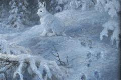 Hare - vinternatt Oljemaleri (50x60 cm)
