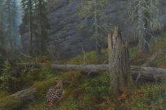 Røy i gammelskog Oljemaleri (70x100 cm)
