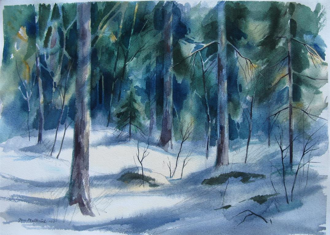 Vinterskog Akvarell 37x52,5 cm 2500 ur