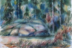 Skogsholt Akvarell 37x52,5 cm 2500 ur