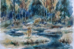 Skogstjern Akvarell 37x52,5 cm 2500 ur