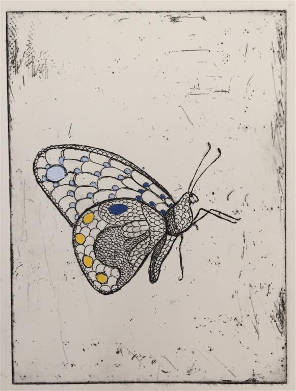 Butterfly Etsning håndkolorert (12x9 cm) kr 800 ur