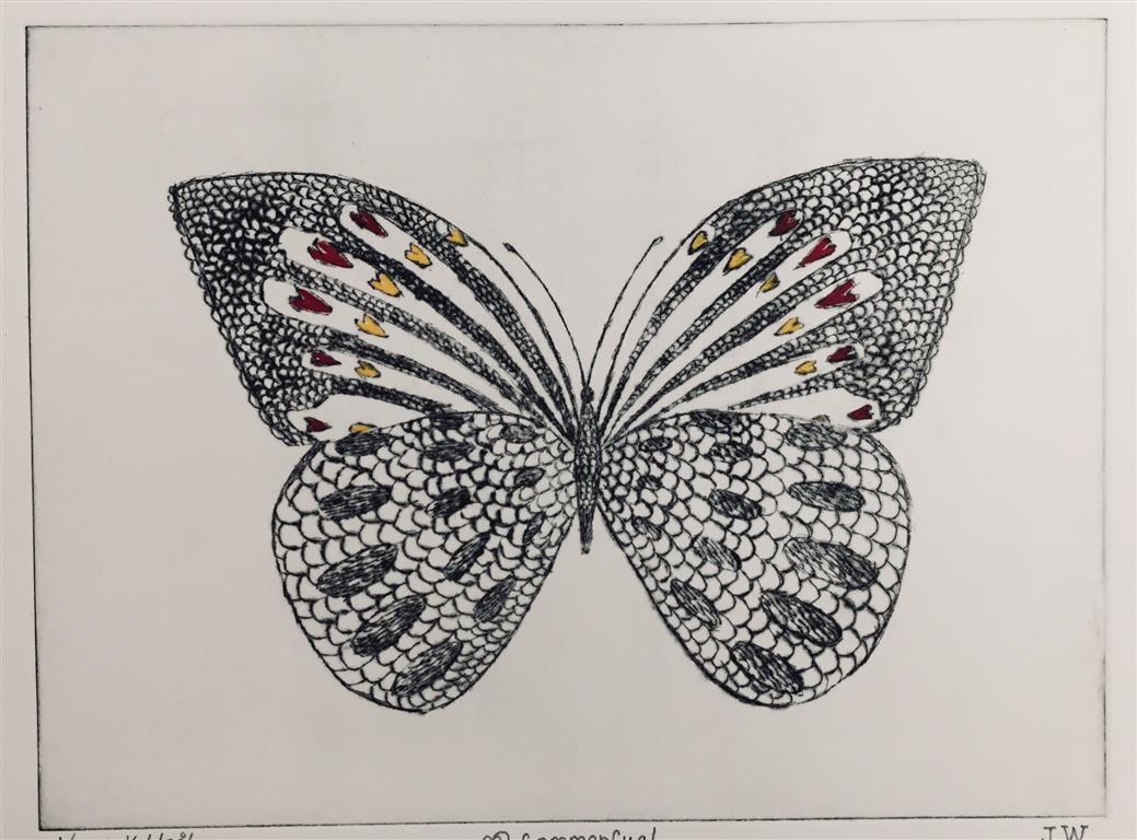 Hjerte sommerfugl Koldnål håndkolorert (18x24 cm) kr 1600 ur