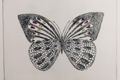 Hjerte sommerfugl Koldnål håndkolorert (18x24 cm) kr 1600 ur