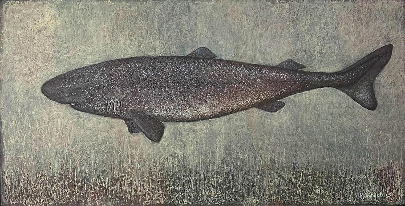 Fiskestudie X – Håkjerring Pastell (60x120 cm) kr 22000 mr