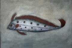 Fiskestudie IV – Sølvkveite Pastell (40x50 cm) kr 2800 mr