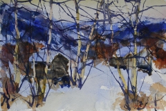Vinter 10 Akvarell 38x56 cm 4000 ur