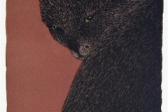 Katt Litografi 25x16,5 cm 1600 ur
