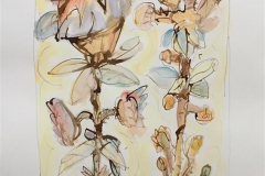 Store blomster I Akvarell (57x40 cm) kr 6000 ur