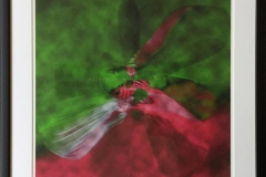 ButterflyEffect mørkgrønn Digigrafikk (50x50 cm) kr 5100 mr