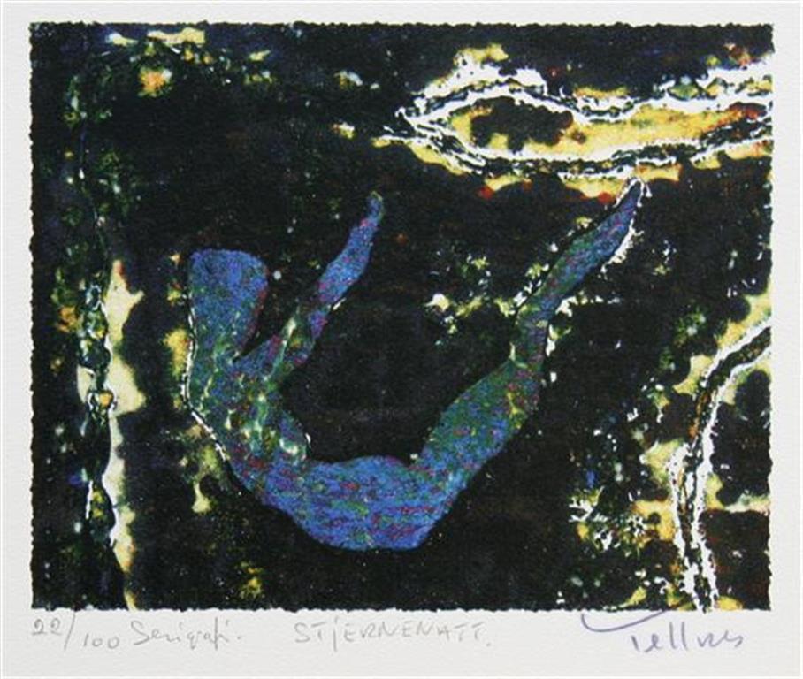 Stjernenatt Serigrafi 14x18 cm 800 ur