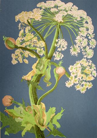 Troemsoepalmen Seriegrafi 63x44,5cm 1800,-kr u.r.